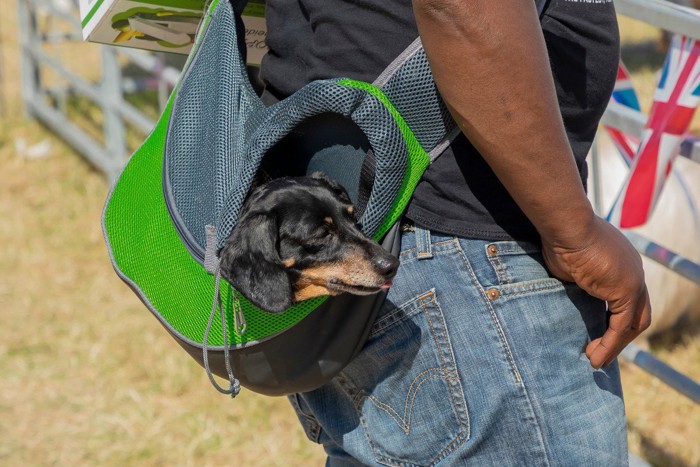 犬の抱っこ紐