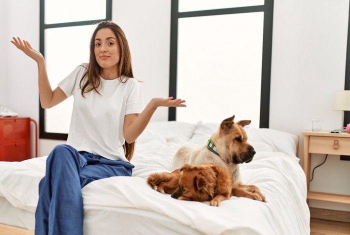 べっどの上の犬と女性