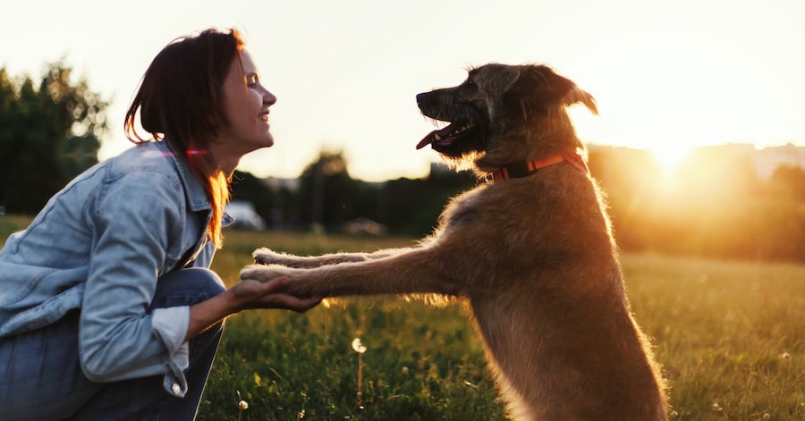 手を取り合って見つめ合う女性と犬