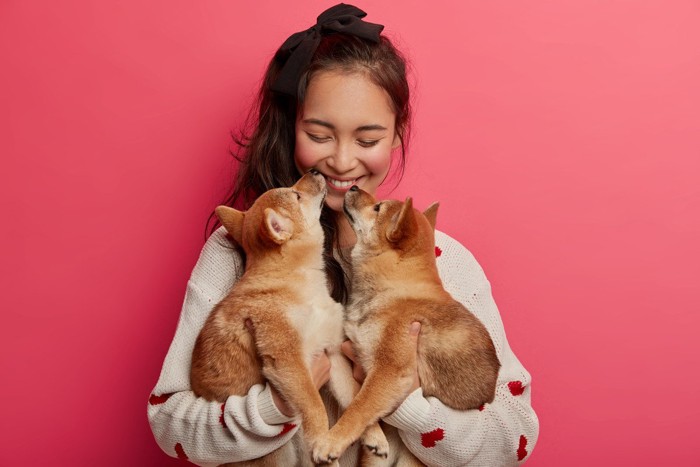 女性と二匹の柴犬の子犬