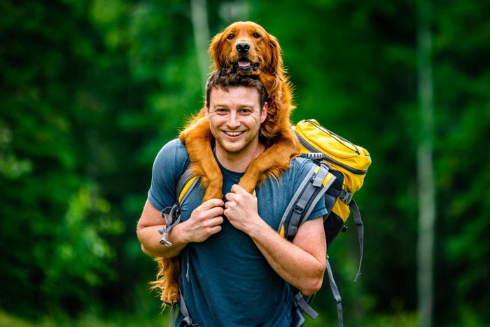 男性におんぶされた茶の犬