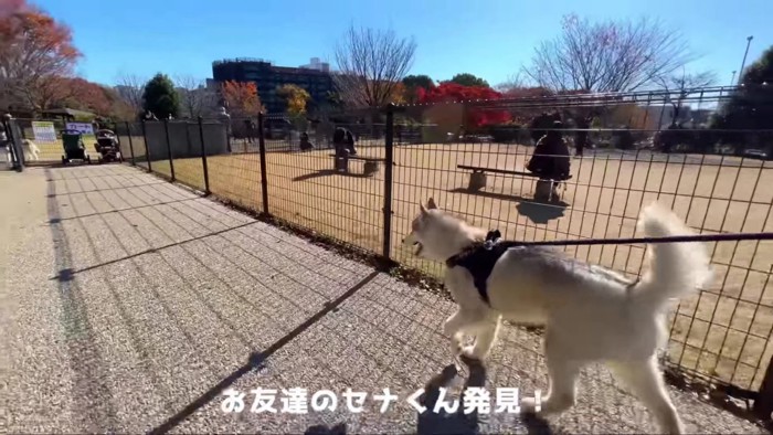 ドッグランに到着♪