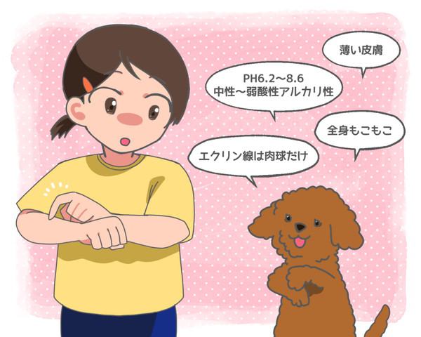 犬と人間の皮膚の違いについて