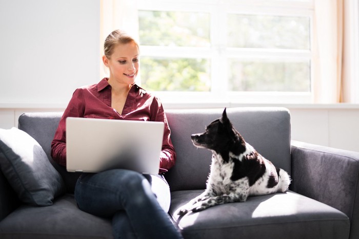 ソファに座る女性と犬