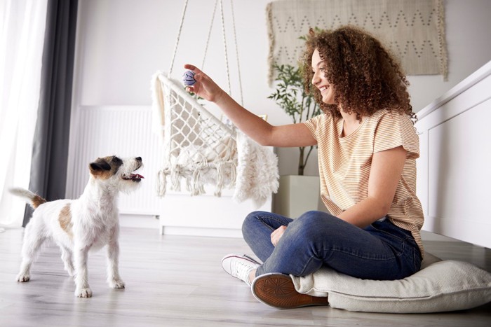 ボール遊びをする犬と女性