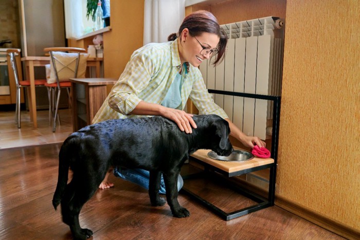 女性と老犬