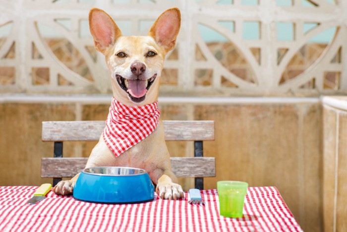 食卓の犬