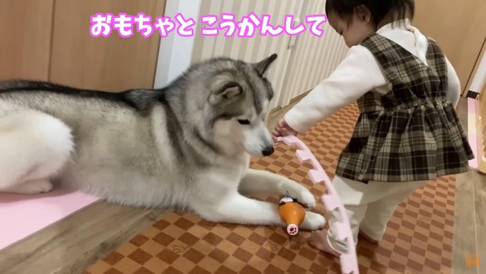 物々交換を持ちかけるえまちゃん