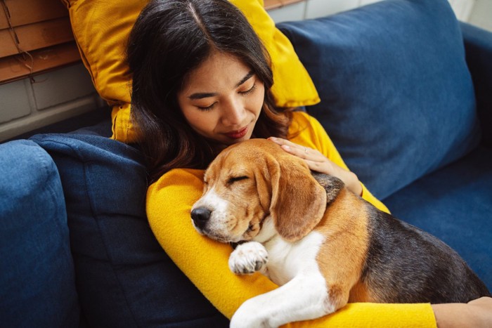 飼い主にもたれかかって眠る犬