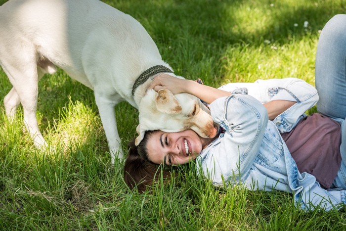 信頼関係を深める飼い主と犬