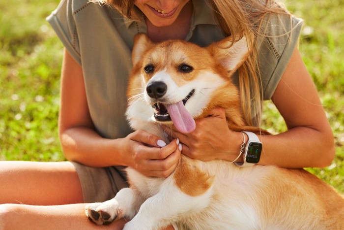 女性に撫でられる犬