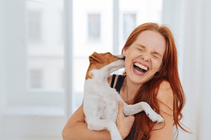 女性にキスする犬