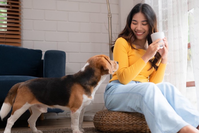 見つめ合う女性と犬