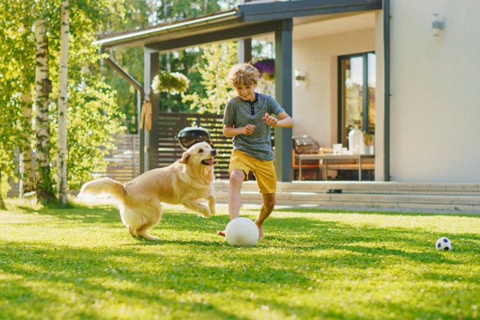 庭で一緒に遊ぶ男の子と犬