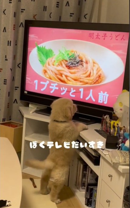 テレビ