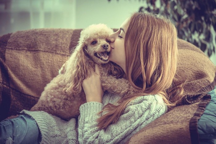 女性に抱きしめられる犬