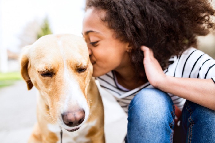 キスをされて迷惑そうな犬