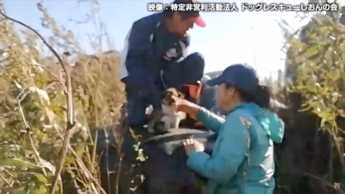 ひだりちゃんが保護された瞬間