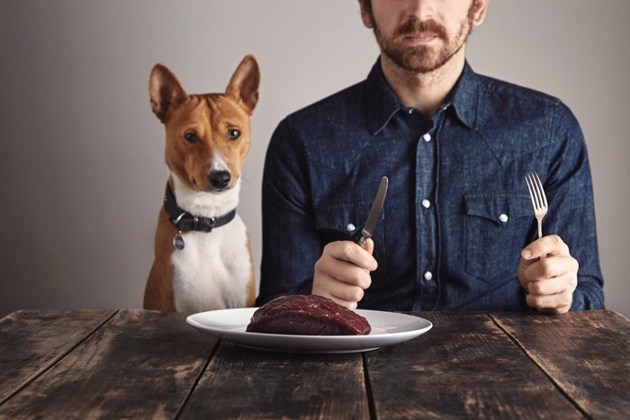 男性のステーキを見つめる犬