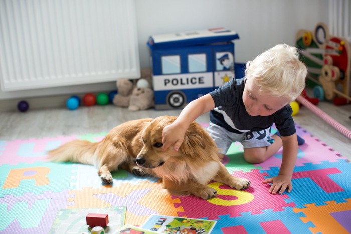 嫌がる犬と男の子