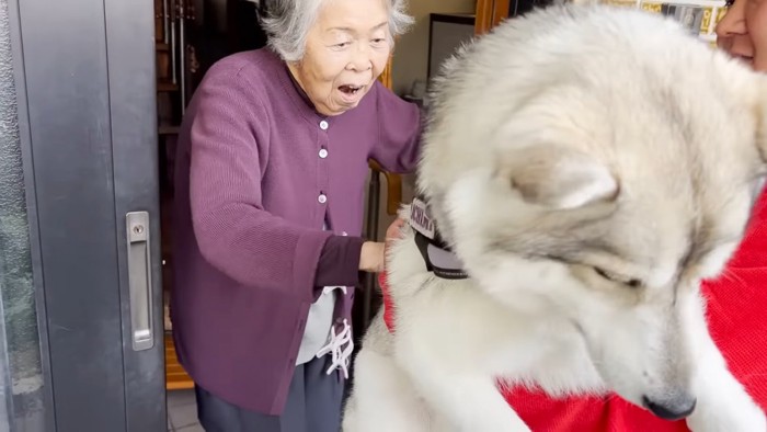 「初めてなでてもらえた！」