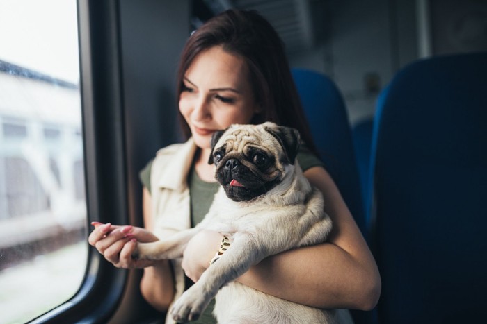 愛犬との旅