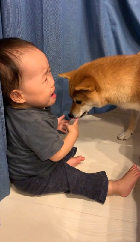 心配そうに見つめる花子ちゃん