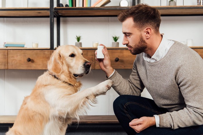 男性とトレーニングをする犬