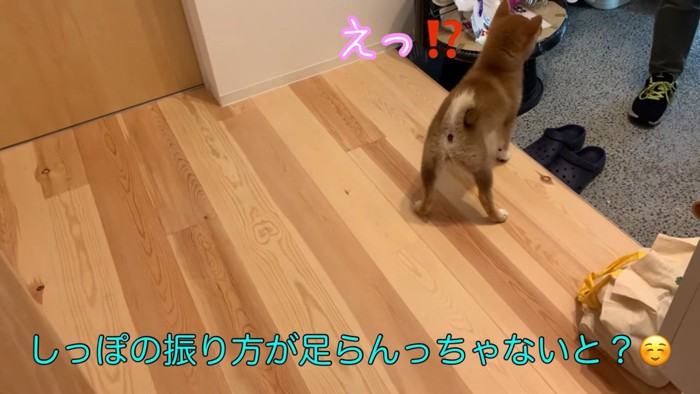 ダメ出しされるひなたちゃん