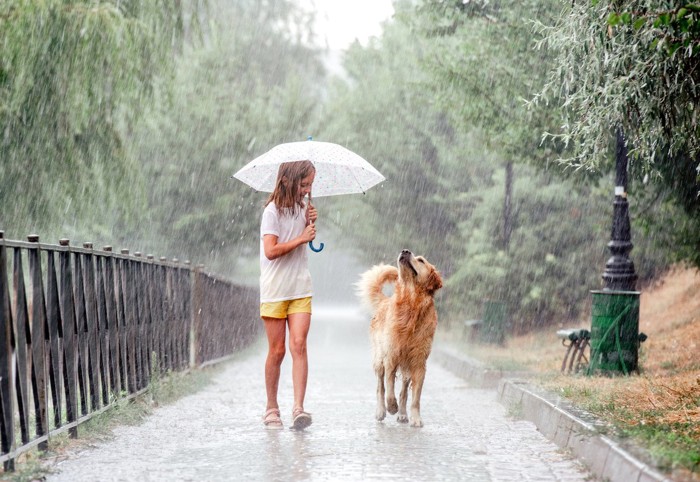 傘を持っている人と犬