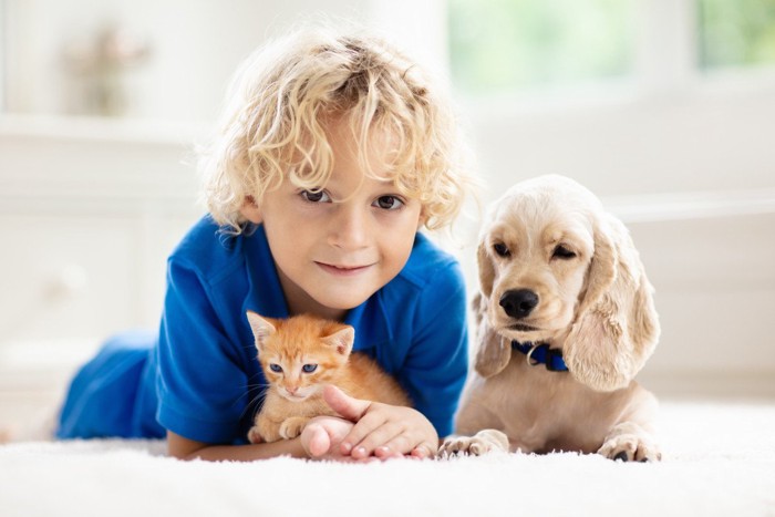 子犬と子猫と少年