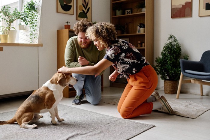 部屋でトレーニングする犬と女性