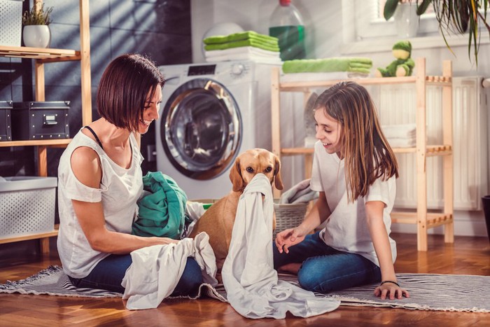 洗濯物をくわえる犬と笑う女性たち