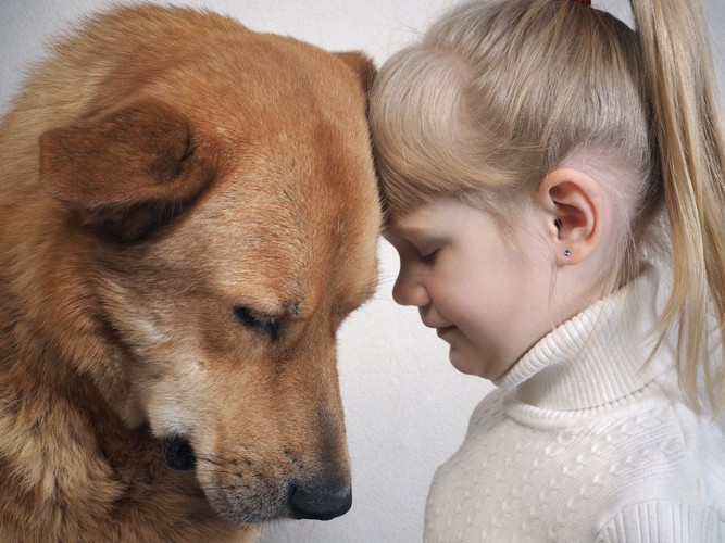 頭をくっつける犬と女の子