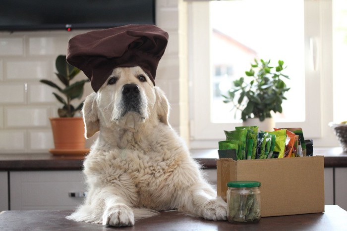 茶色い帽子を被った犬、瓶や箱に入った袋