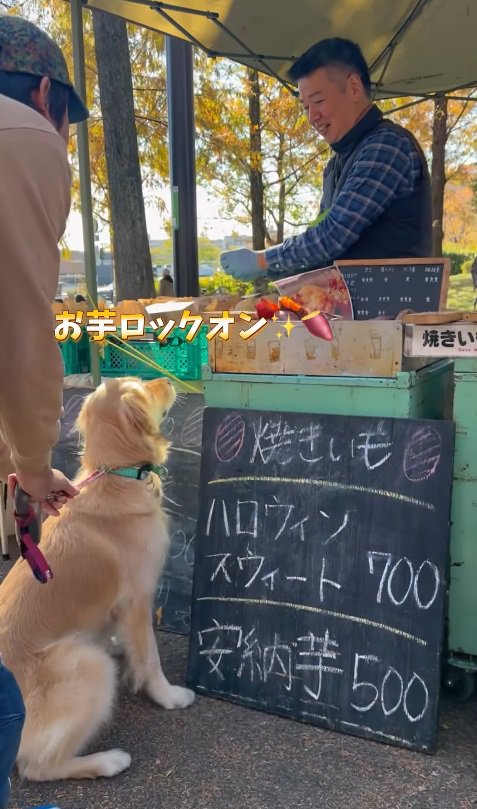 「焼き芋もっとくーださい」