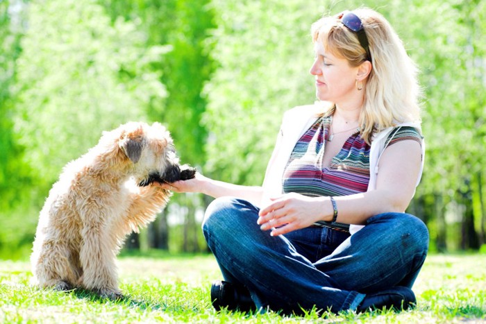 手の上に前足を載せる犬