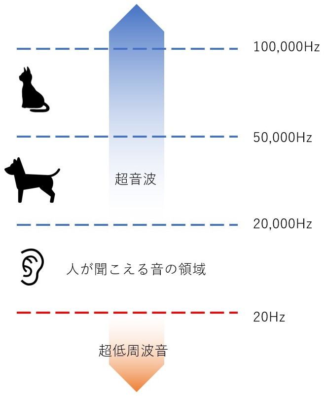 可聴域の比較