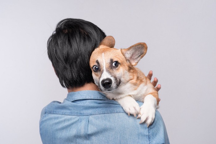 怯えて体を寄せる犬