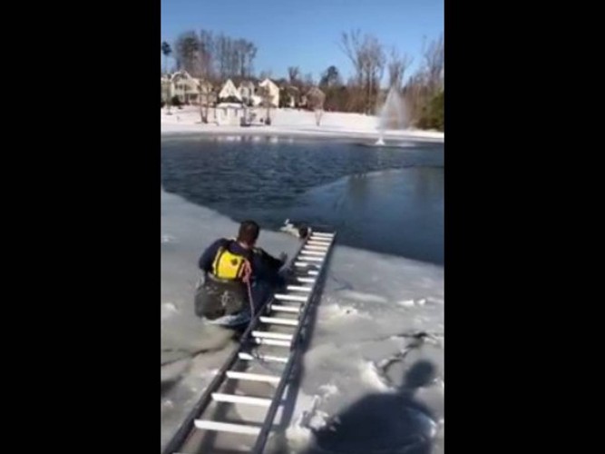 カヤックに乗って氷上すべって犬に近づく人