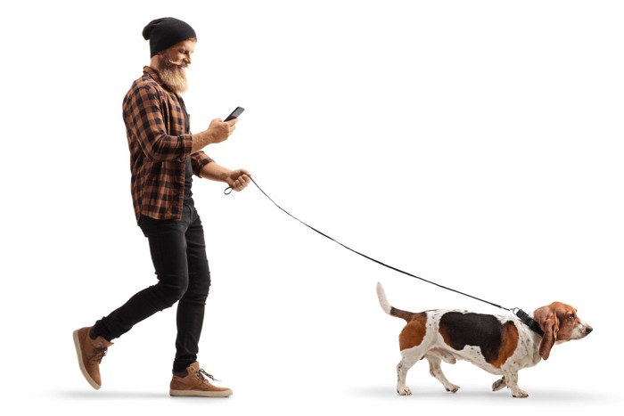 スマートフォンを見ながらお散歩する女性と犬