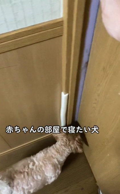 お部屋に