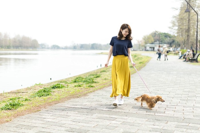 散歩する女性と犬