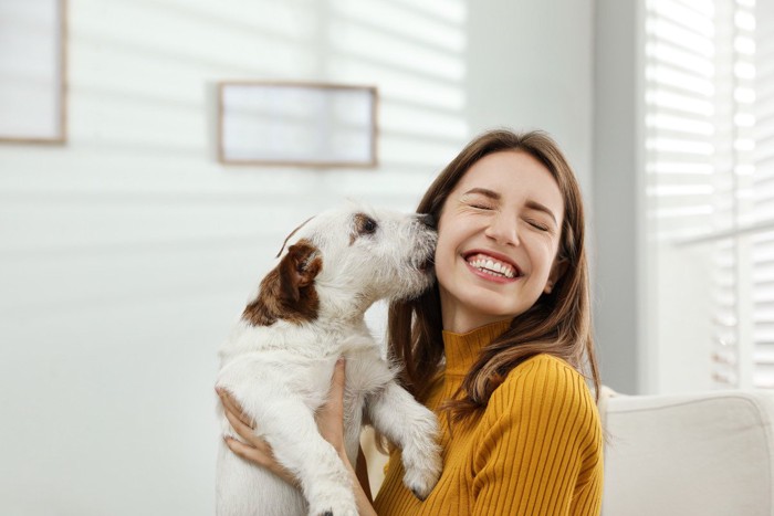 頬にキスをする犬