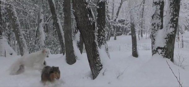 個性が溢れる