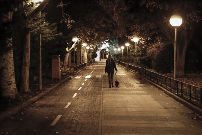 夜に散歩する犬と女性