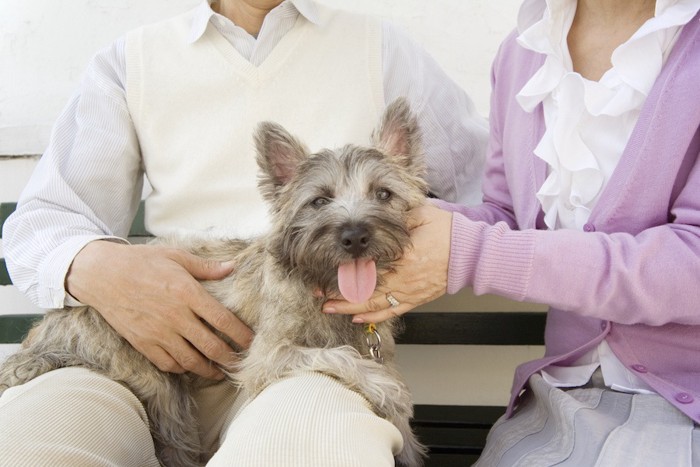 夫婦に可愛がられる犬