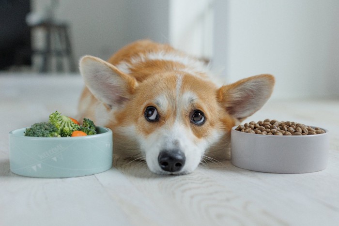 食べ物を食べない