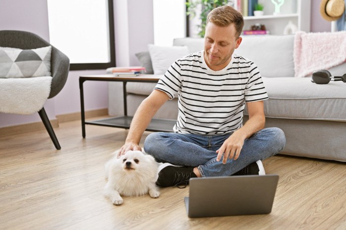 ボーダーシャツの男性と犬