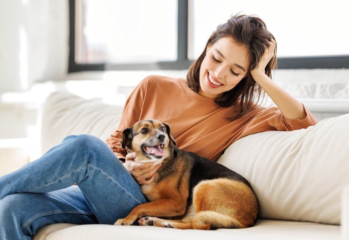 ソファーで犬の顎の下を撫でる女性